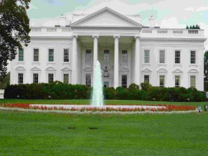 white-house
